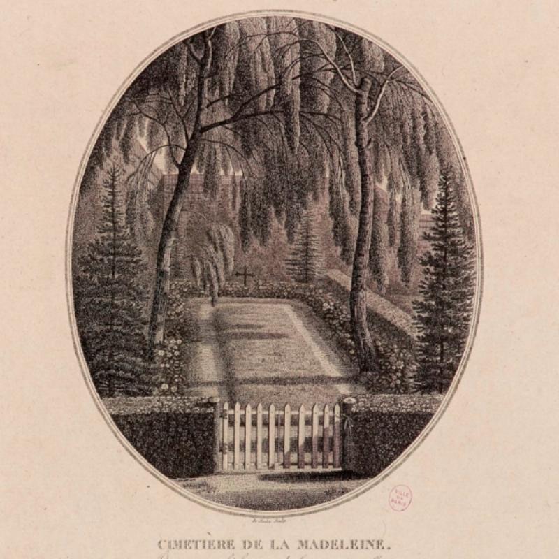 Fleur de lys historique ornant la cathédrale Notre-Dame de Paris, symbole royal de la France